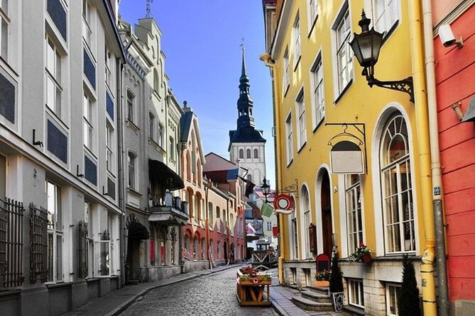 5-Hour Tallinn Tour for Cruise Passengers - Getting to the tour: pickup details and how not to miss your group