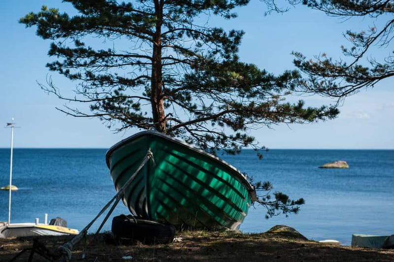 All Inclusive Day Trip from Tallinn: Prangli Island - Lunch on Prangli: local fish is likely, but ask first
