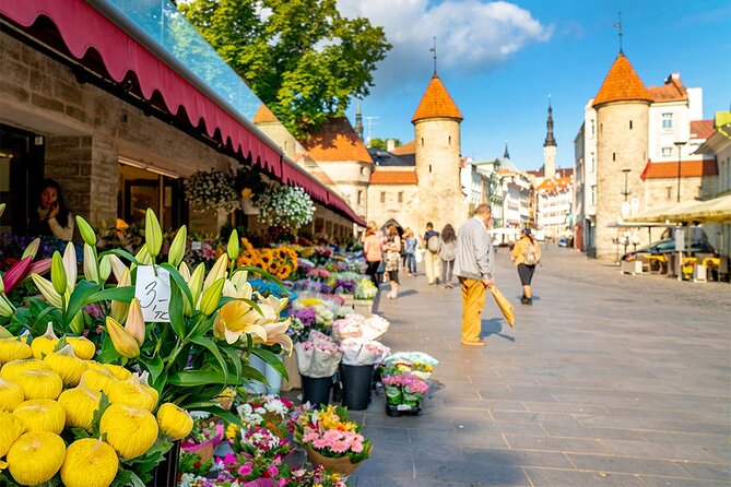 Best of Tallinn Private Tour - Key highlights at a glance