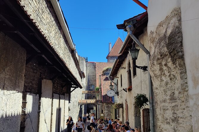 Beyond the Old Town -Tallinn's Hidden Gems by Car - Stop 1: a one-hour drive through Tallinn’s seaside districts