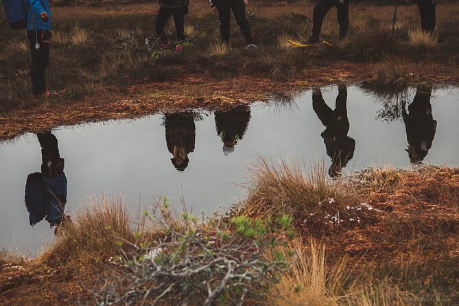 Bog-shoe Hiking Tour - Key Highlights You Should Care About