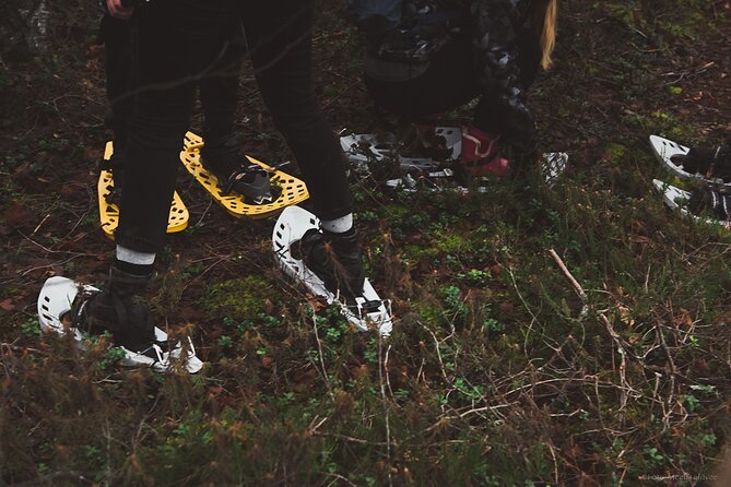 Bog-shoe Hiking Tour - Weather and Timing: Plan for the Wet Stuff