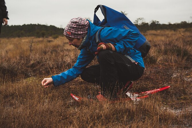 Bog-shoe Hiking Tour - Bog Shoes Change the Whole Experience