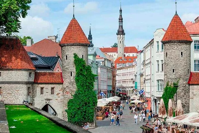 CO2-Offset Tallinn by yourself with English speaking driver - Key highlights to know before you go