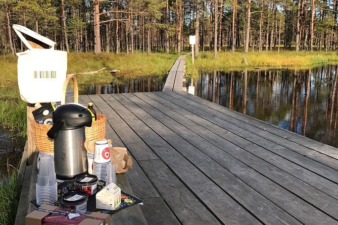 Day Trip to Land of Bays, the Romantic North-Coast from Tallinn - Inside Lahemaa National Park: the drive is part of the show