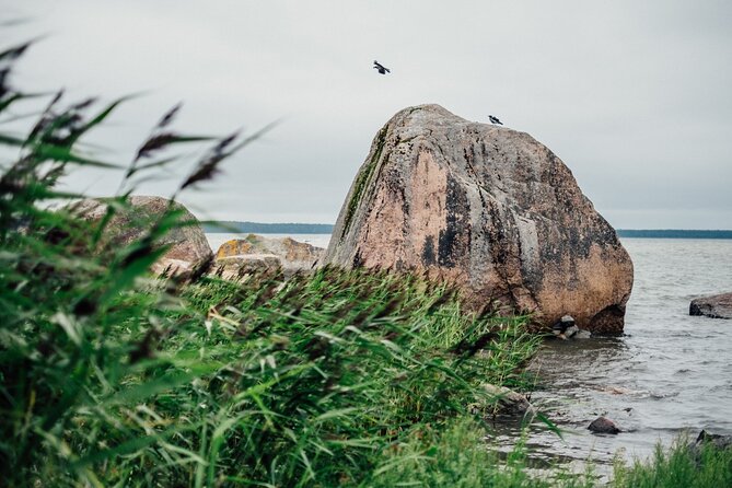 Day Trip to Land of Bays, the Romantic North-Coast from Tallinn - Käsmu Captains Village: wooden villas and the lucky-stone tradition