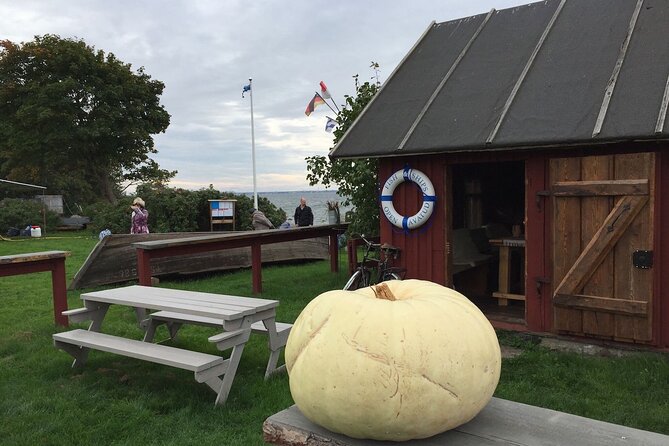 Day Trip to Land of Bays, the Romantic North-Coast from Tallinn - Joelahtme Stone Barrows: small stop, big time depth