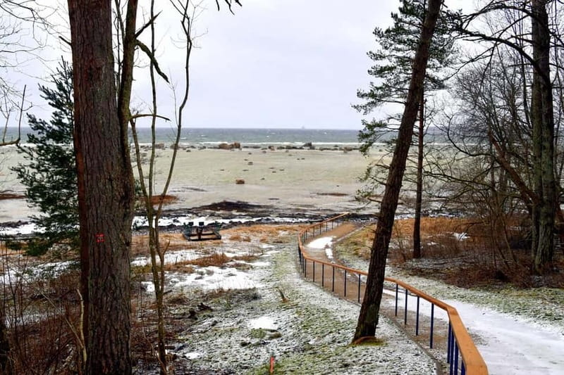 Discover Estonia-car tour from Tallinn to Keila-Joa Waterfal - Leaving Tallinn for Real Estonia: Nature First, Not Museum-Only