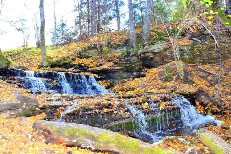 Discover Estonia–tour to Lahemaa with waterfalls and nature. - Key points to know before you go