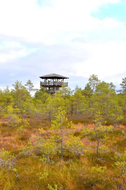 Discover Estonia–tour to Lahemaa with waterfalls and nature. - Viru bog tower, how the hike actually feels
