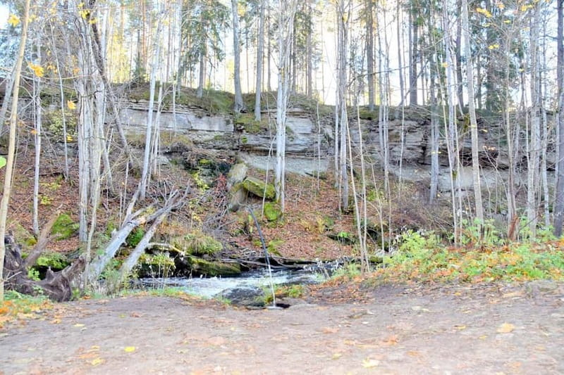 Discover Estonia–tour to Lahemaa with waterfalls and nature. - Season changes the view, and that’s part of the deal