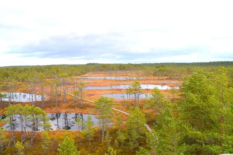 Discover Estonia–tour to Lahemaa with waterfalls and nature. - Guide Erle and the small-group advantage