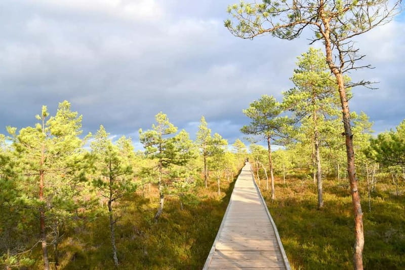 Discover Estonia–tour to Lahemaa with waterfalls and nature. - Pickup in Harju and the drive that sets the tone