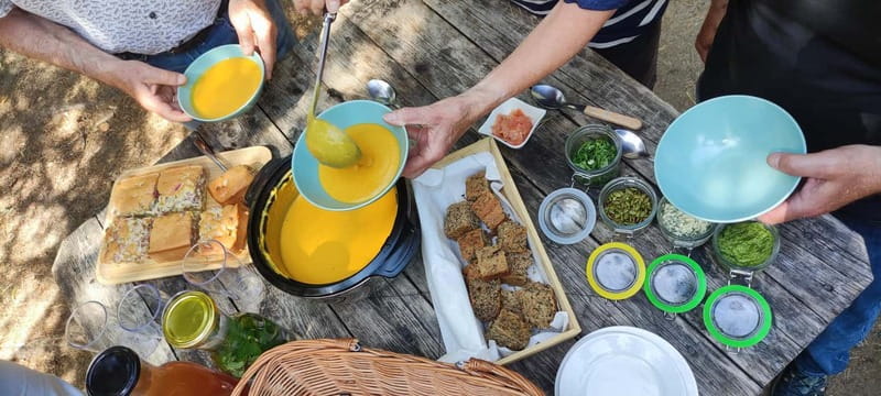 Escape from Tallinn – Hike, Swim, Forage & Cuddle Sled Dogs - Who should book, and who should skip this style of day