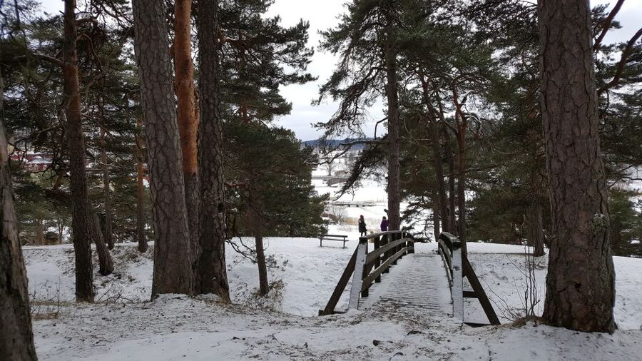 From Helsinki: Porvoo Guided Day Trip with Transportation - The Calm Finnish Pace: What the Walking Format Means for You
