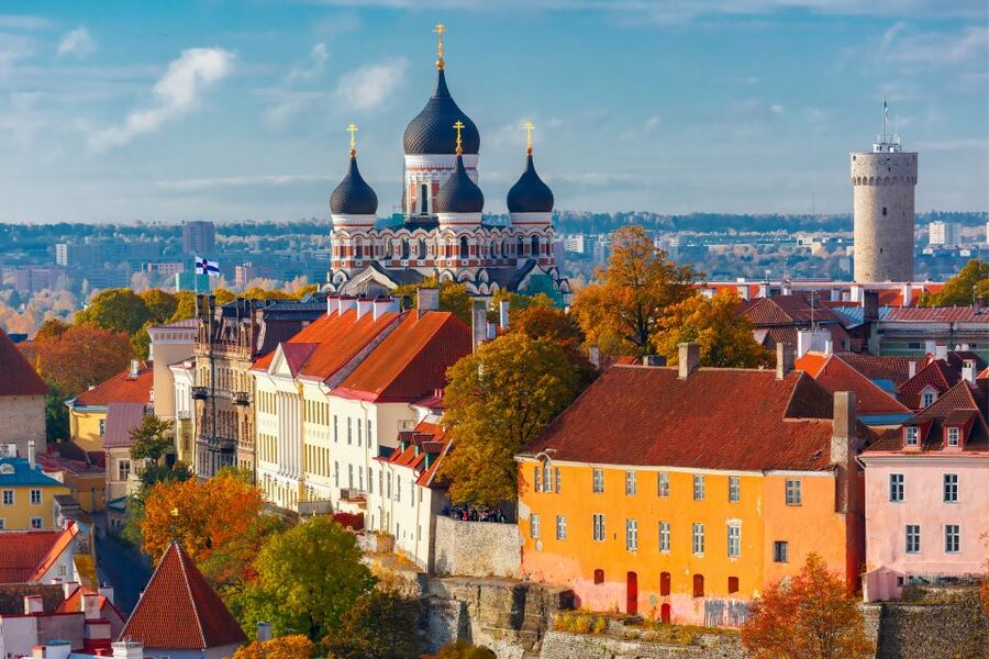 From Helsinki: Tallinn Guided Full-Day Tour by Ferry - Price and Value: What $278 Buys You