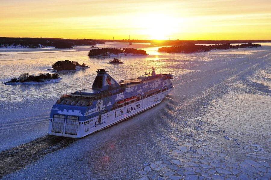 From Helsinki: Tallinn Guided Full-Day Tour by Ferry - Old Town Street Grid and Square: Your Fastest Way to Learn the Layout