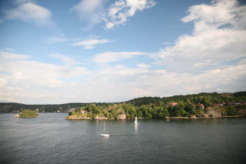From Stockholm: One-Way Overnight Cruise to Tallinn - The main meal risk: buffet confusion and how to protect your time
