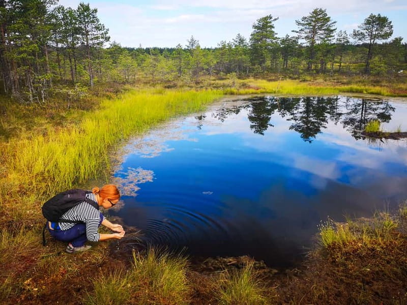 From Tallinn: Day Trip to Lahemaa National Park - How Lahemaa turns a Tallinn day into real countryside