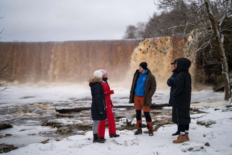 From Tallinn: Day Trip to Lahemaa National Park - Lunch on your own: budget and how to use your time
