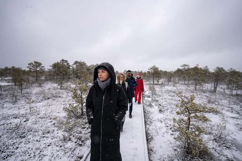 From Tallinn: Day Trip to Lahemaa National Park - Forest trail for flora and fauna: plant spotting with a guide’s brain