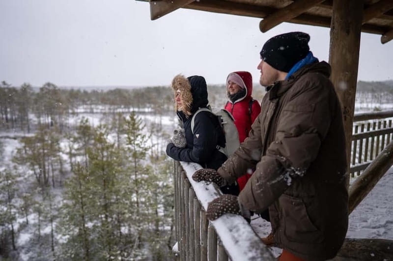 From Tallinn: Day Trip to Lahemaa National Park - Viru bog walk: peat, pools, and the folklore layer