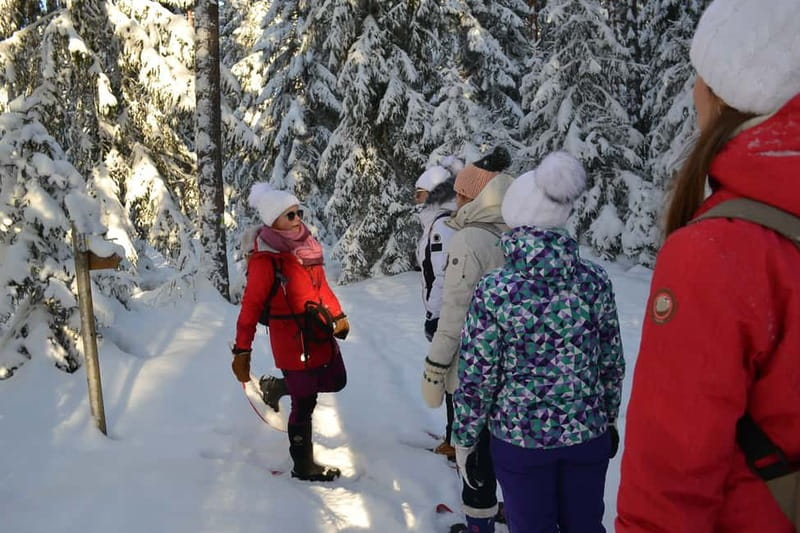 From Tallinn: Guided Bog-Shoe Hiking Tour - Getting from Tallinn to Harju: the van ride that sets the tone