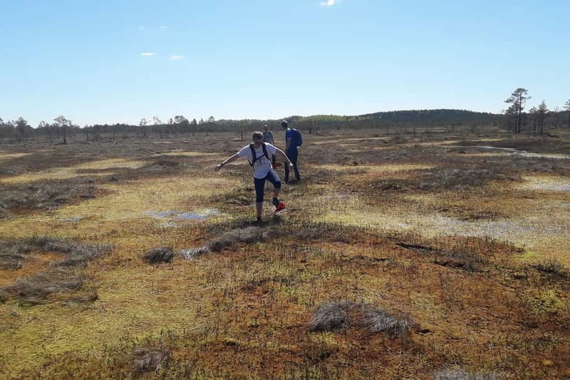 From Tallinn: Guided Bog-Shoe Hiking Tour - Season tips: what to expect in spring, autumn, and winter