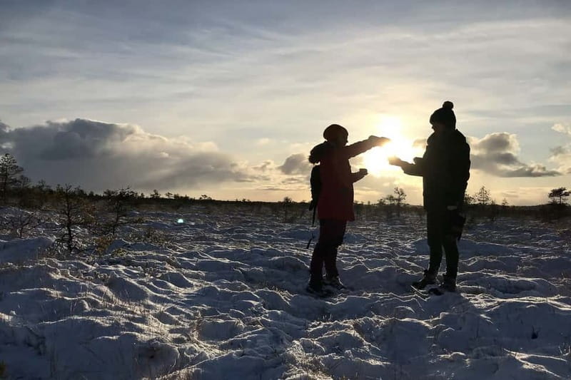 From Tallinn: Guided Bog-Shoe Hiking Tour - What to wear and bring, so you stay comfortable
