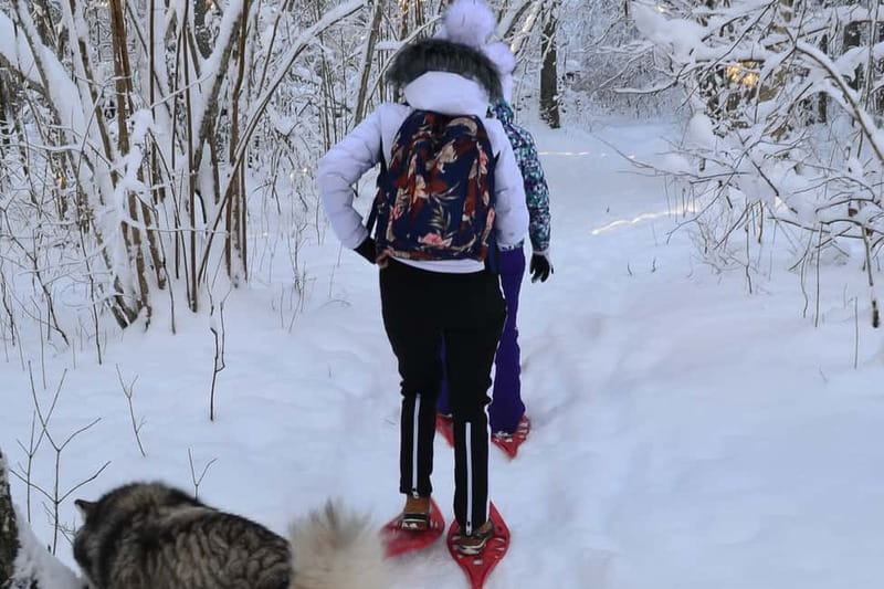 From Tallinn: Guided Bog-Shoe Hiking Tour - Arrival at Kõnnu Suursoo: what you do first and what to watch for