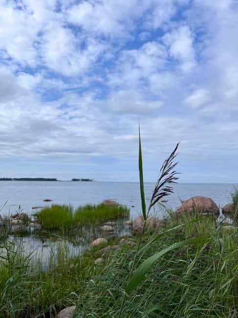 From Tallinn: Lahemaa National Park Day Trip - Lahemaa in One Day: Coast, Wetlands, and Village Harbors