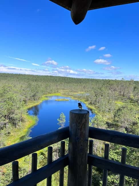 From Tallinn: Lahemaa National Park Day Trip - Viru Bog Nature Trail Hike: Easy Effort, Big Atmosphere