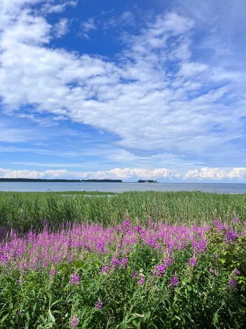 From Tallinn: Lahemaa National Park Day Trip - Lunch Break and Picnic Style: The Food Is Part of the Story