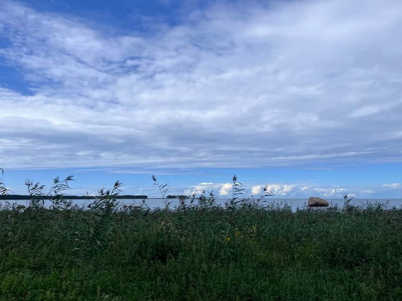 From Tallinn: Lahemaa National Park Day Trip - Meeting Point Timing: Where You Start and How the Day Flows