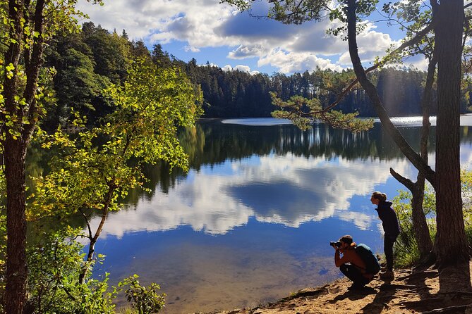 Go North – Private 1 Day Trip to Estonian Nature - Key highlights you should care about