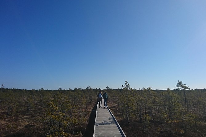 Go North – Private 1 Day Trip to Estonian Nature - Getting out of Tallinn the smart way, by car and by context