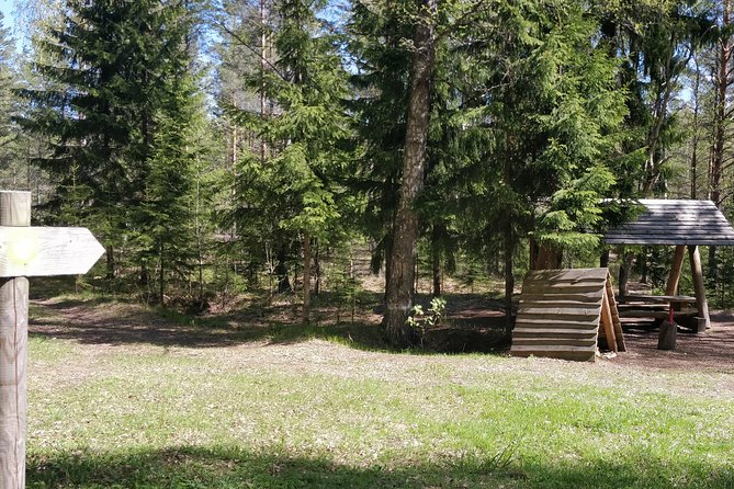 Go North – Private 1 Day Trip to Estonian Nature - Viru Bog Trail: a short walk with a northern coast feel