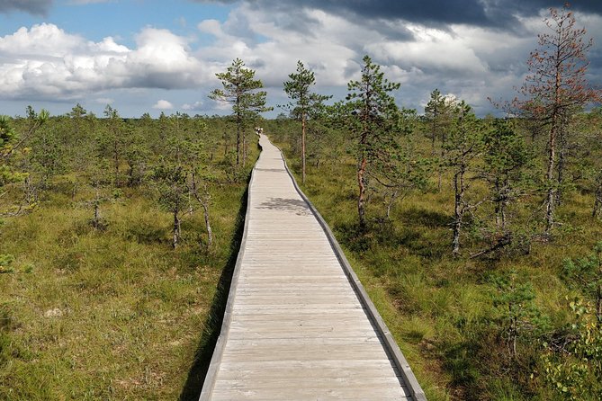 Go North – Private 1 Day Trip to Estonian Nature - Jagala Waterfall stop: big scale in 20 minutes