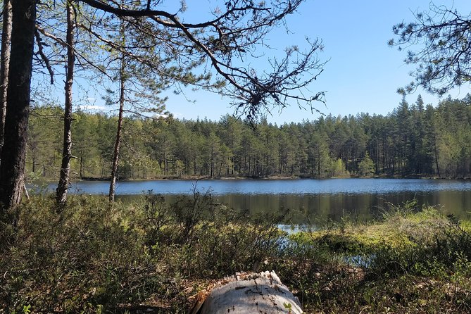 Go North – Private 1 Day Trip to Estonian Nature - Your guide Juhan: calm confidence, history in plain language, and a paced day