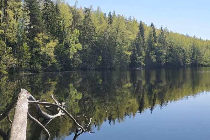 Go North – Private 1 Day Trip to Estonian Nature - Price value at $202.54 per person: when it feels like a smart buy