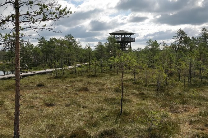 Go North – Private 1 Day Trip to Estonian Nature - Kõrvemaa maastikukaitseala 72: the protected-area hike that feels different every season