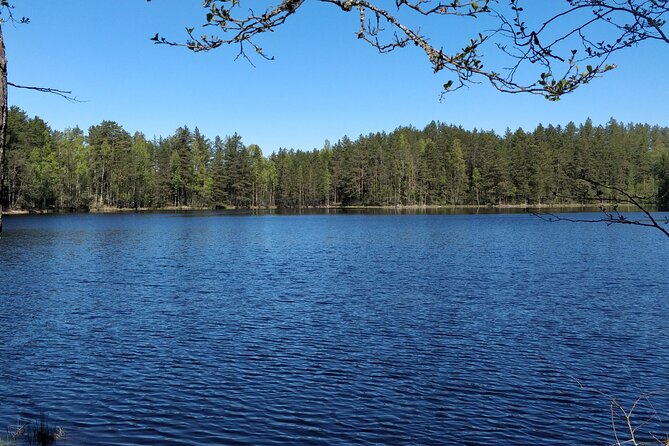Half Day Hiking Tour in Beautiful Estonian Nature - Why this half-day nature tour feels worth it