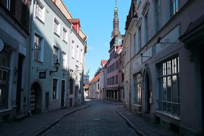 Half-Day Private Guided Sightseeing Tour of Tallinn - Kadriorg in Half the Time, but With Real Personality