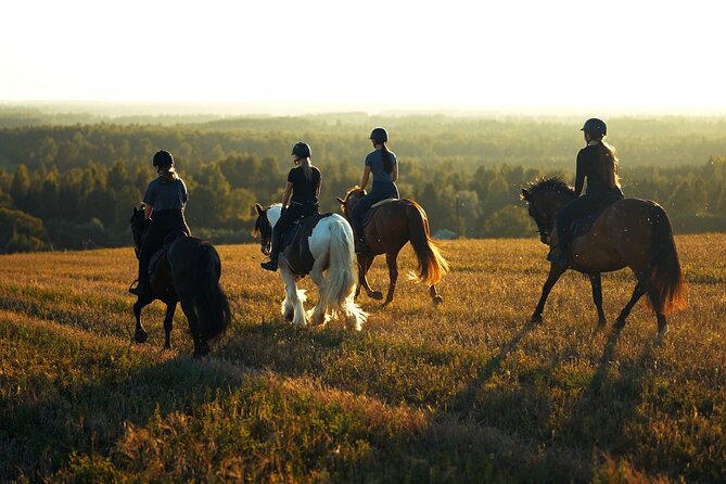 Horseback Riding in the Landscape - Key Points You’ll Care About