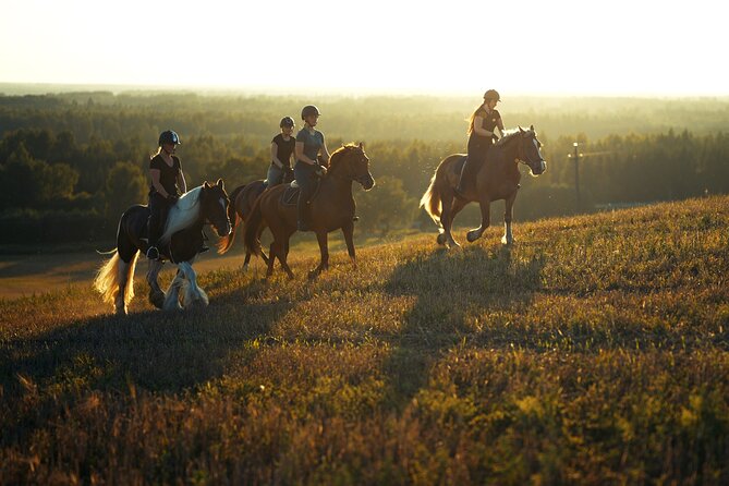 Horseback Riding in the Landscape - Metsapiiga Talu Setup: Safety First, Then Horse Time