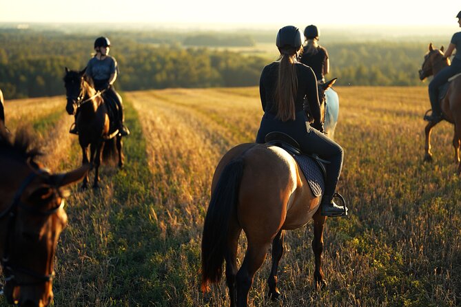 Horseback Riding in the Landscape - The Ride Through Jõgevamaa: Fields, Forests, and Peaceful Paths