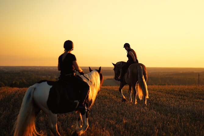 Horseback Riding in the Landscape - After the Ride: Time With the Horses and a Slow Finish at the Farm