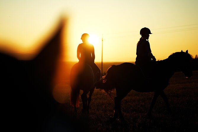 Horseback Riding in the Landscape - Group Size, English, and the Pace You’ll Actually Feel