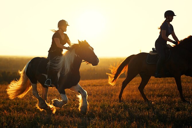 Horseback Riding in the Landscape - Price and Value: Why $93.49 Can Make Sense Here