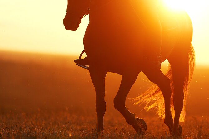 Horseback Riding in the Landscape - Who This Horse Ride Fits Best (And Who Might Want Something Else)